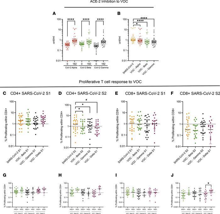 Responses to VOCs are preserved at 6 months after ChAdOx1 nCoV-19 vaccin...