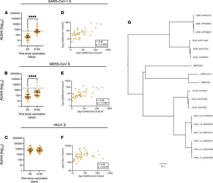 Cross-reactive humoral immune responses among Beta CoVs.
(A–C) Antibody ...
