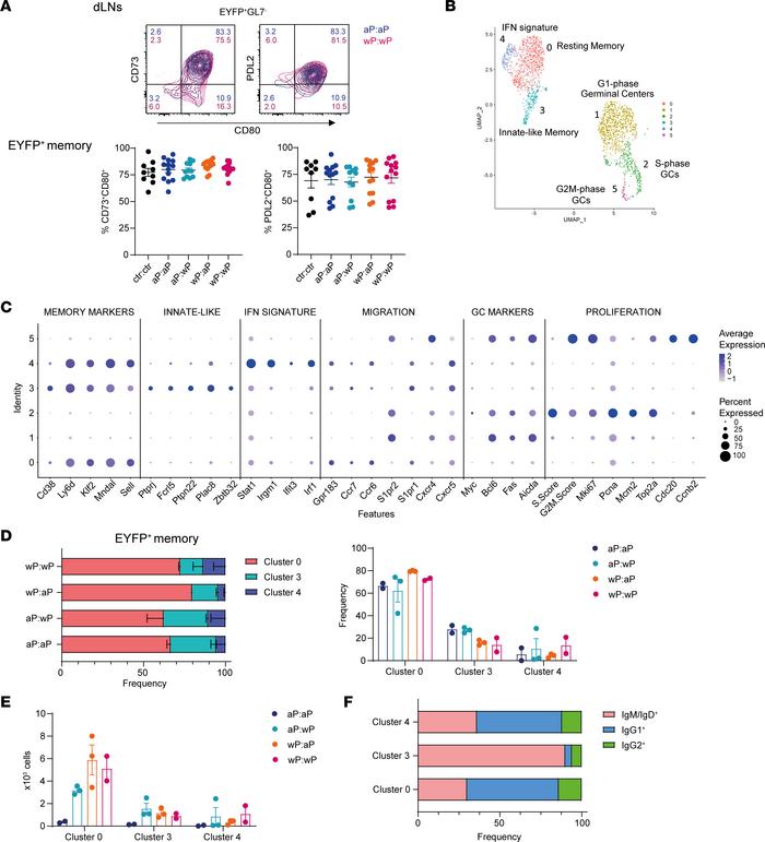 Three different signatures of memory B cells were identified by single-c...