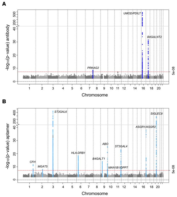 Manhattan plot of GWAS of antibody-based and aptamer-based circulating u...
