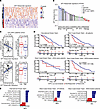 SPT-R signature in PDX models and in patient cohorts.