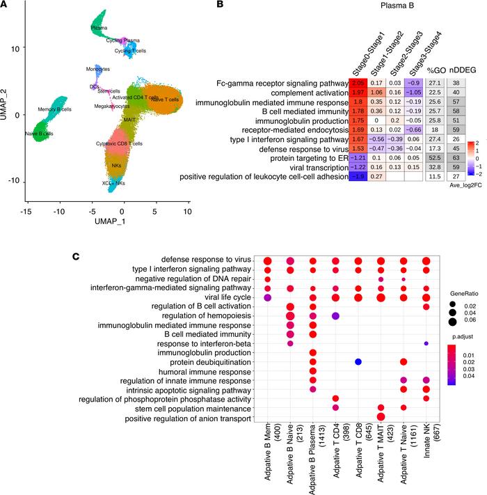 Cell type–specific dynamic gene expression in peripheral blood mononucle...