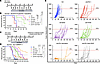 Combined antivascular directed therapies and anti–PD-1 enhance antitumor re