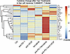 Combined antivascular-directed therapies and anti–PD-1 enhance antitumor in