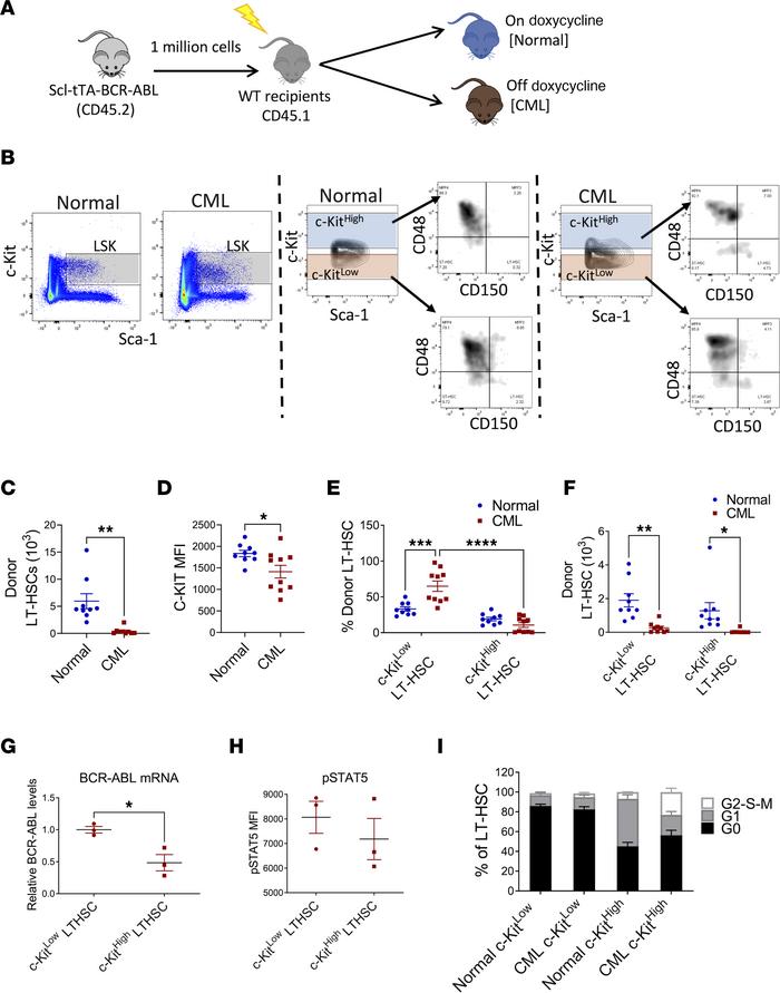 C-KITlo LT-HSCs are increased in CML compared with normal BM.
Experiment...