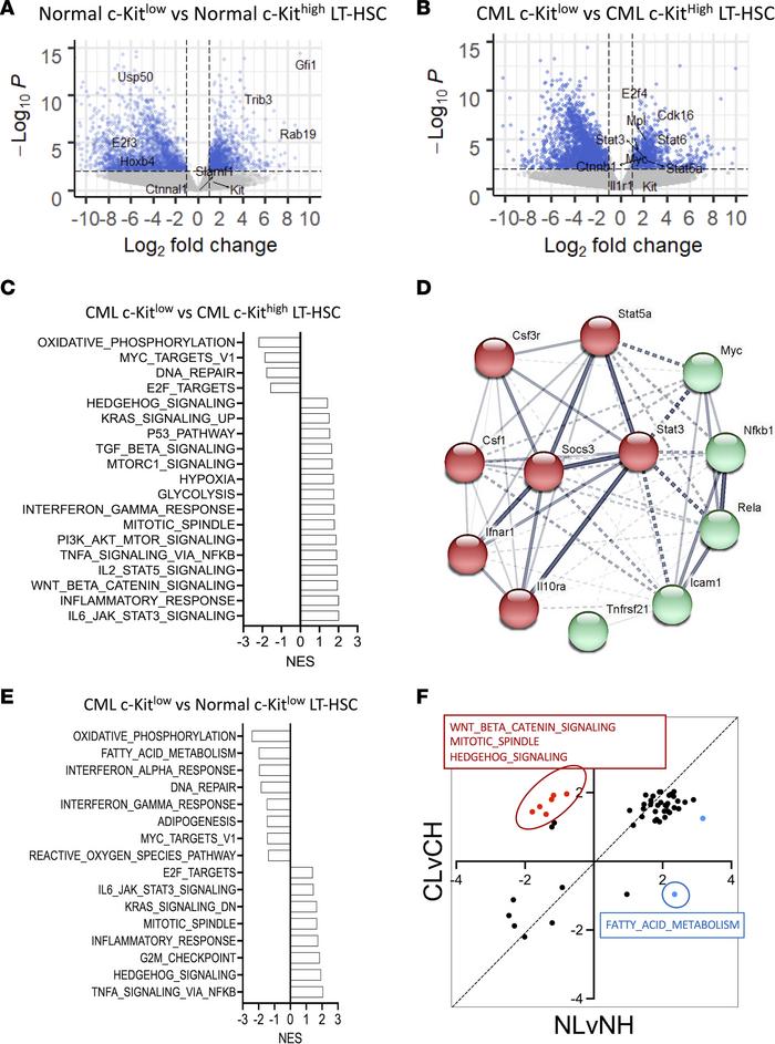 CML c-KITlo LT-HSCs exhibit gene signatures characteristic of primitive,...