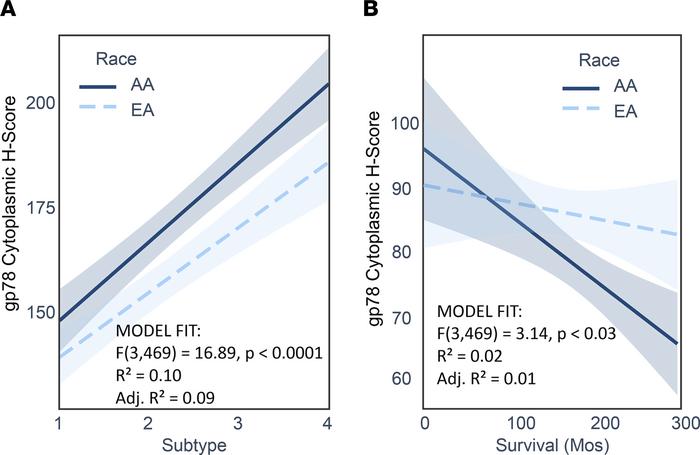 Regression profiling reveals that the relationship between gp78 protein ...