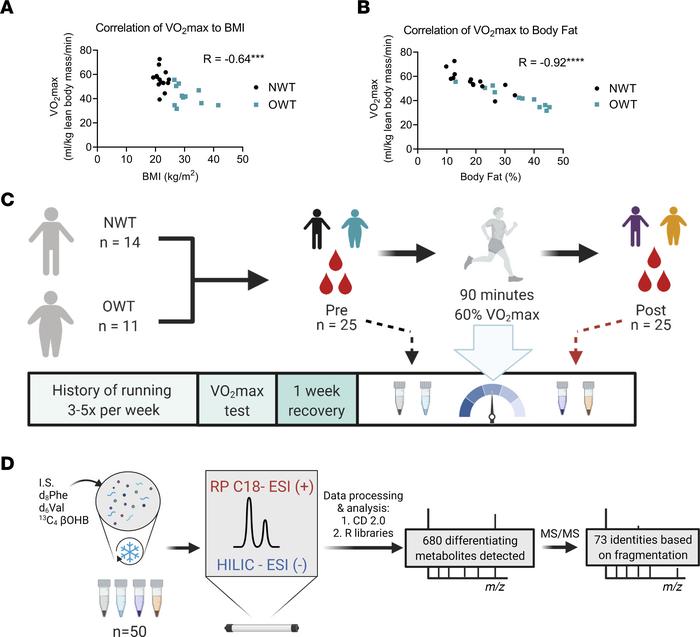 Study design and untargeted metabolomics analytical pipeline.
(A and B) ...