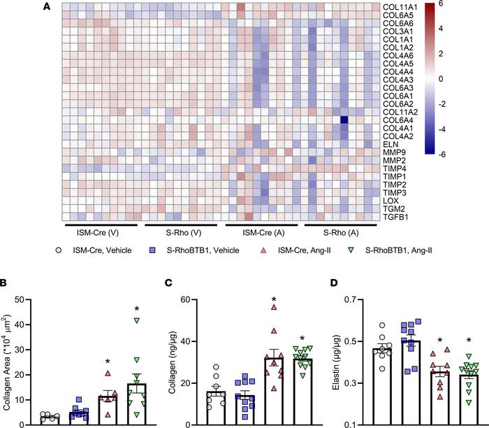 Extracellular matrix.
(A) Transactivation profiles of classical ECM comp...