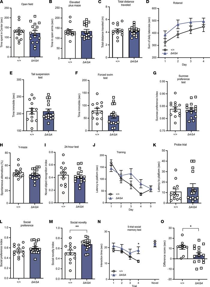 Phf21bΔ4/Δ4 animals exhibit social memory deficits.
Assays characterizin...