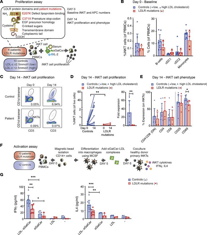 Human LDLR mutations are associated with impaired iNKT cell proliferatio...