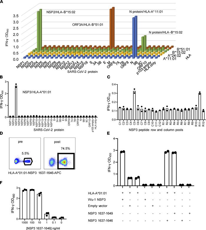 SARS-CoV-2 CD8 T cell antigens and epitopes from PBMC stimulation with w...