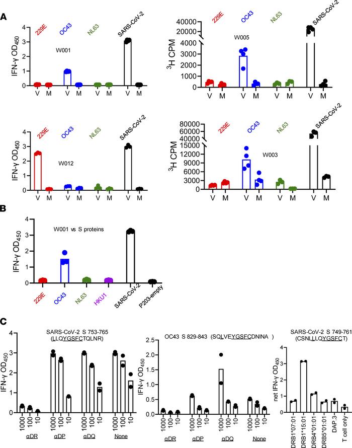CD4 T cell coronavirus crossreactivity.
(A) CD4 TCL from PBMC stimulated...