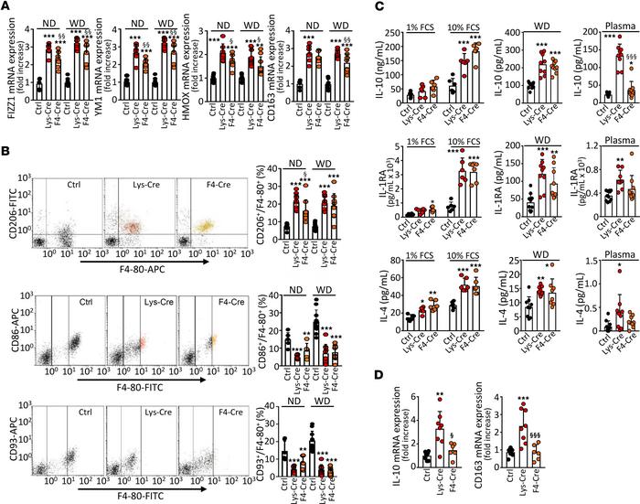 S1P1 overexpression in macrophages promotes antiinflammatory polarizatio...
