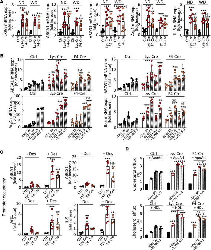S1P1 overexpression in macrophages enhances expression and activation of...