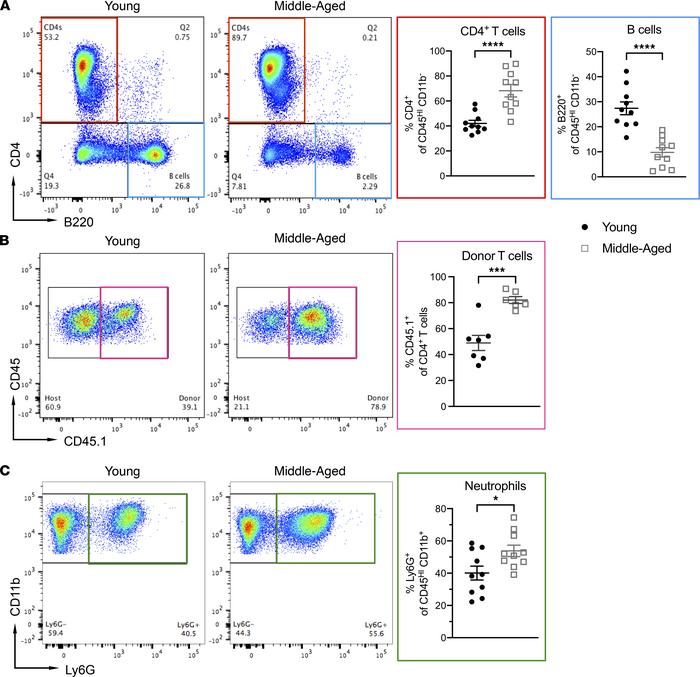 The composition of CNS-infiltrating immune cells differs between middle-...