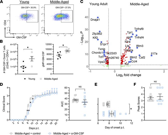 GM-CSF promotes exacerbated EAE in middle-aged mice early, but not late,...