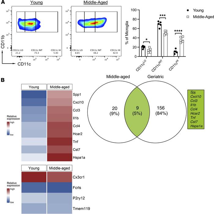 Microglia in middle-aged mice upregulate genes indicative of a reactive,...