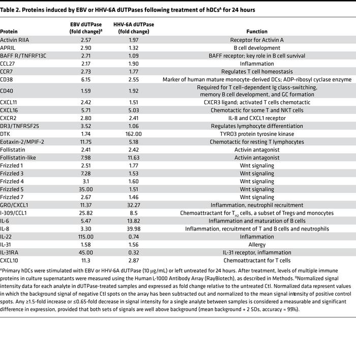 Proteins induced by EBV or HHV-6A dUTPases following treatment of hDCsA ...
