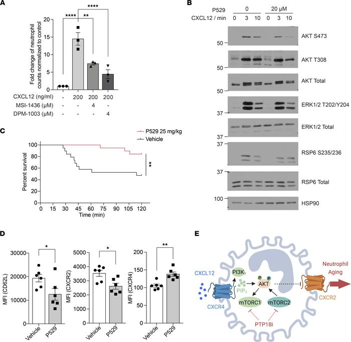 The effect of mTOR inhibitor on the survival of TRALI model and inductio...