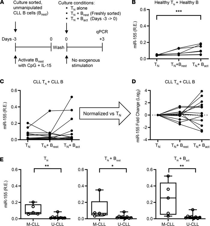 Modulation of Tn cell miR155 by B cells from age-matched HCs and patient...