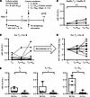 Modulation of Tn cell miR155 by B cells from age-matched HCs and patients w