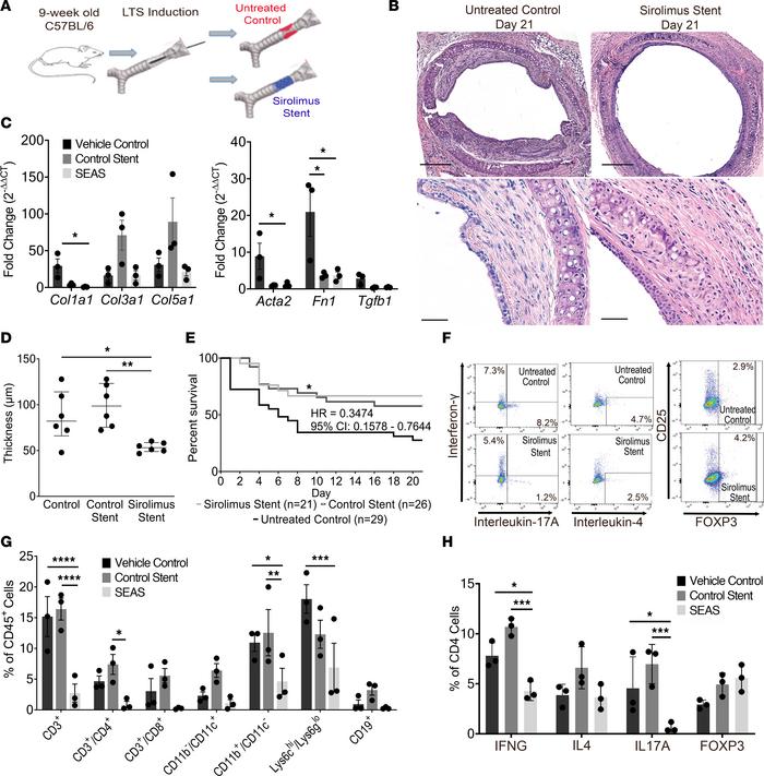 A sirolimus-eluting airway stent reduced fibrosis and improved survival ...