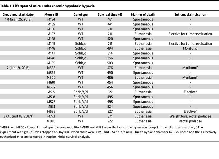 Life span of mice under chronic hypobaric hypoxia