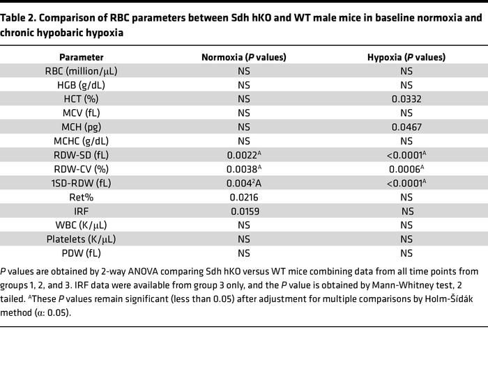 Comparison of RBC parameters between Sdh hKO and WT male mice in baselin...