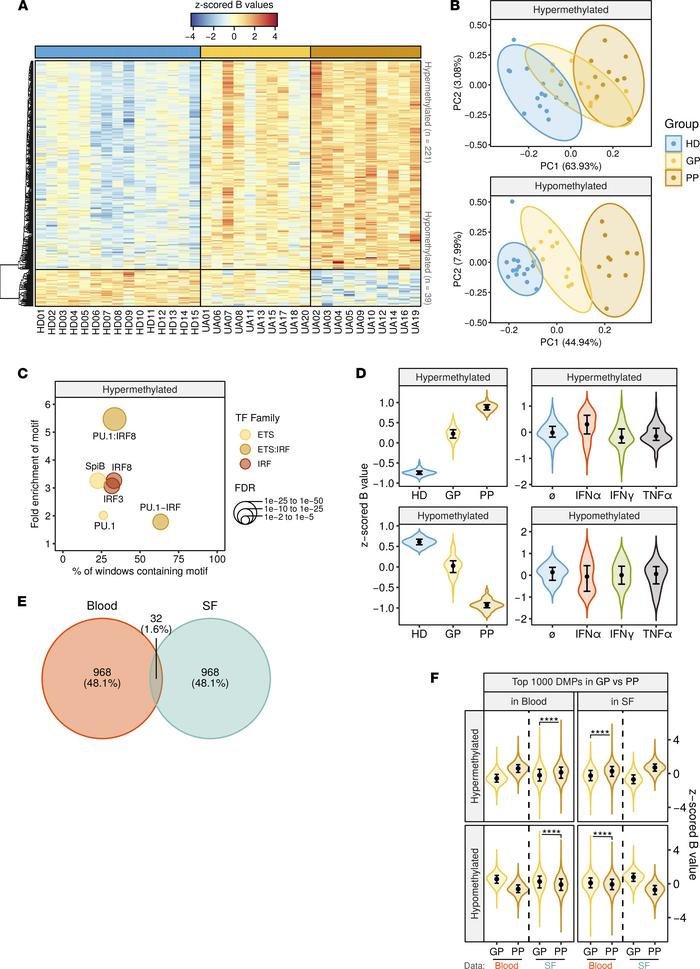 DNA methylation differences between GP, PP, and HD.
(A) Heatmap showing ...