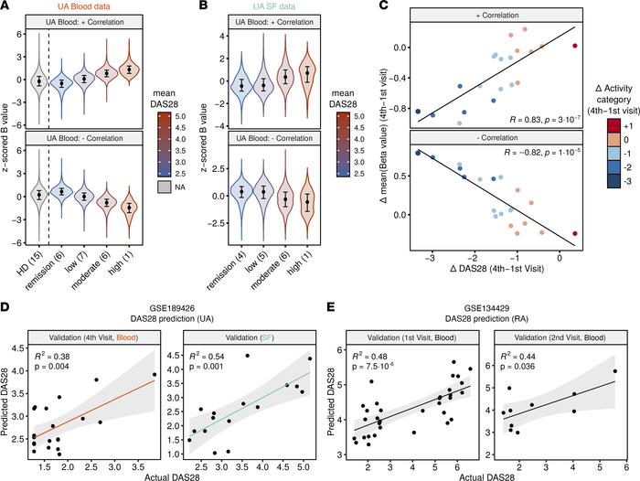 Correlation of DNA methylation and DAS28 in blood and SF of UA.
(A) Viol...