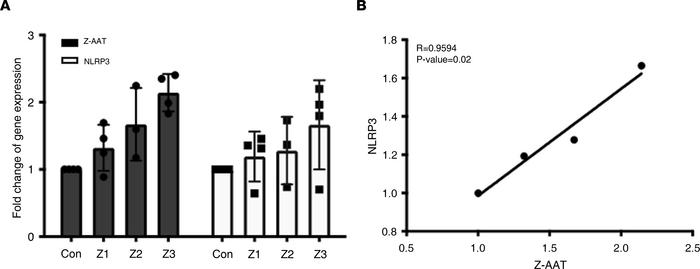 Positive correlation between the expression levels of Z-AAT and NLRP3 in...