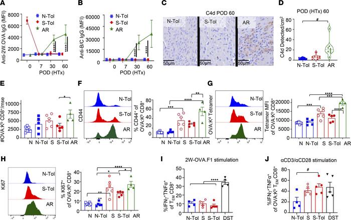 Unstable tolerance is not associated with the accumulation of memory OVA...