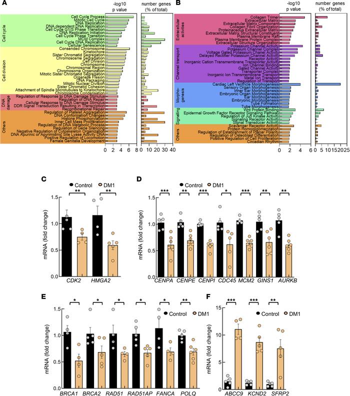 Transcriptomic studies reveal transcripts associated with multiple proce...