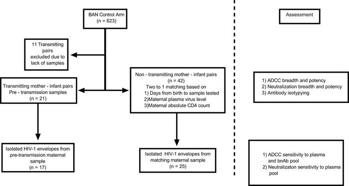 Study design.
Flow diagram of TM-and matching NTM-infant pairs from the ...