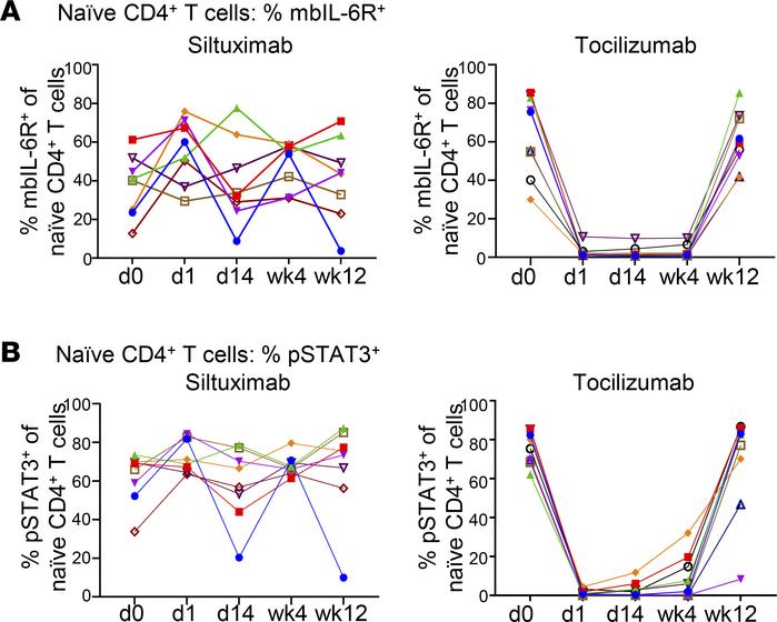 Suppression of IL-6–induced p-STAT3 persists in tocilizumab-treated but ...