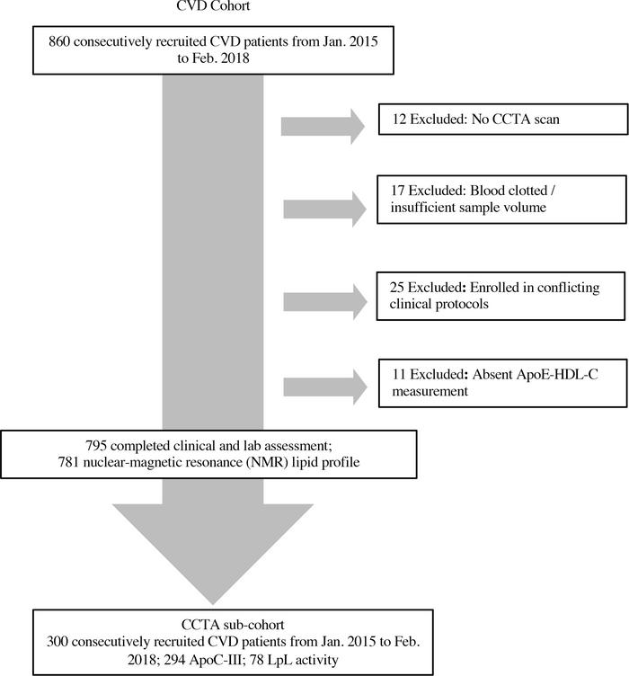 Recruitment and follow-up scheme of study participants.