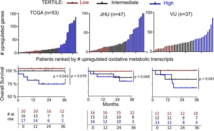 Association of high tumor oxidative metabolic gene expression with reduc...