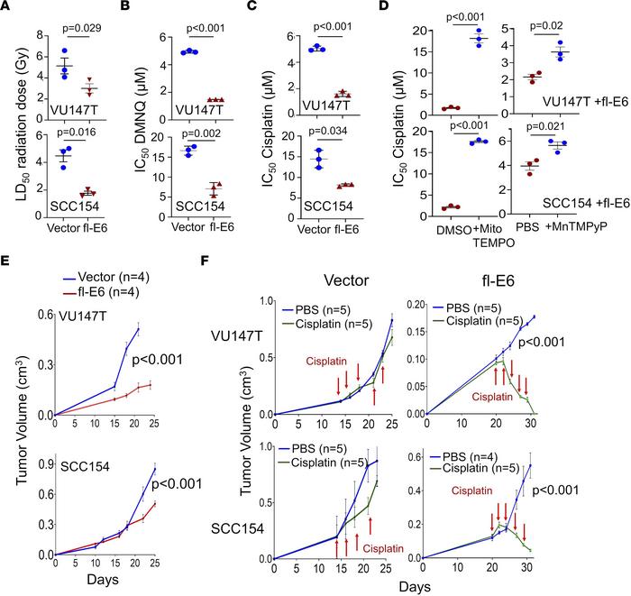 Depletion of mitochondrial antioxidant capacity by fl-E6 potentiates the...