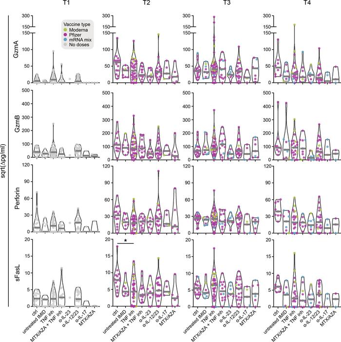 Cytotoxic responses in each group before or after first and second doses...