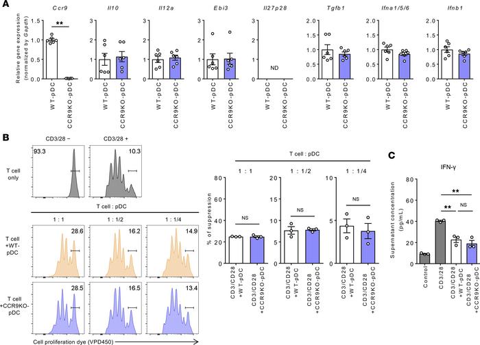 CCR9 deficiency does not influence the pDC immunosuppressive function.
(...