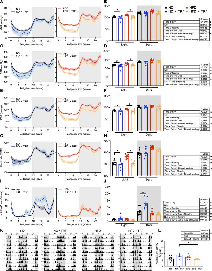 TRF improves light-phase BP and heart rate changes.
Radiotelemetry was u...