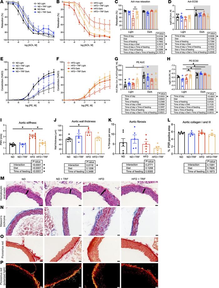 TRF restores aortic endothelial function and reduces aortic damage in HF...