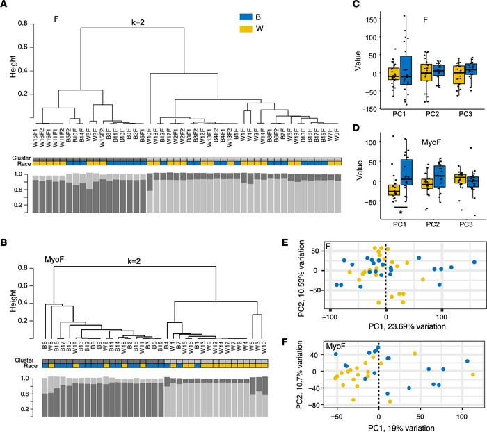 Race-based clustering of RNA-Seq results from myometrial and fibroid sam...