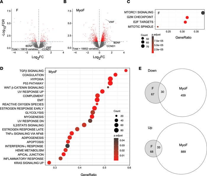 Differential gene expression by race in F and MyoF samples.
Fibroids (F)...