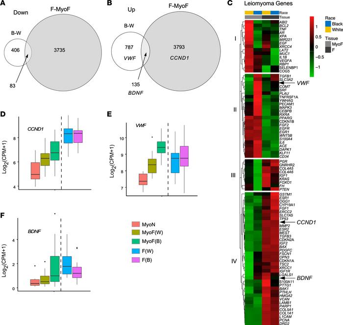 Transcriptomic similarities in fibroids (F) from all women and Black wom...