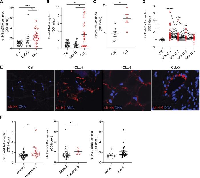 NETs are identified in MIS-C and CLLs.
Citrullinated histone H3– and ela...