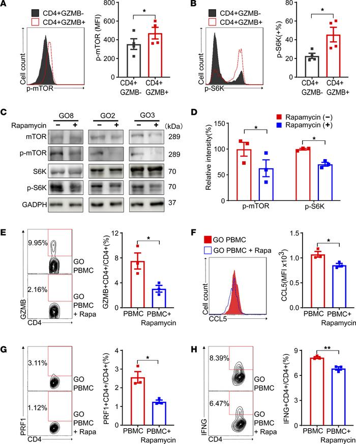 The inhibition of mTORC1 by rapamycin decreases the frequency and functi...