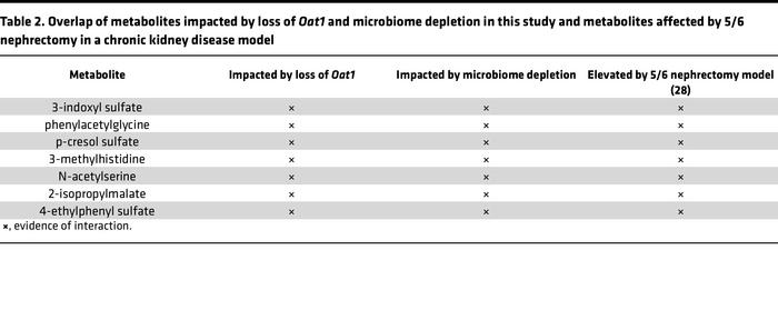 Overlap of metabolites impacted by loss of Oat1 and microbiome depletion...
