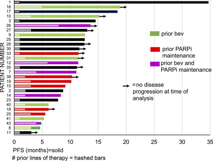 Swimmers plot of individual patient progression-free survival.
Bars with...